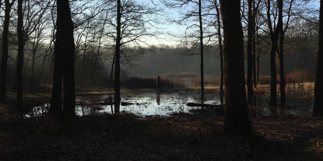landschaphei7